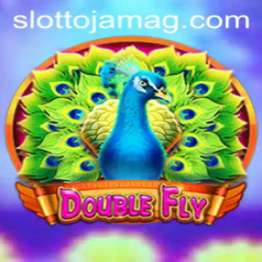 DoubleFly and Buraco.bet: Exploring the Unique Gaming Landscape